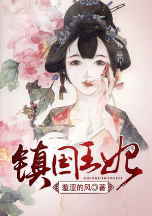 镇国王妃