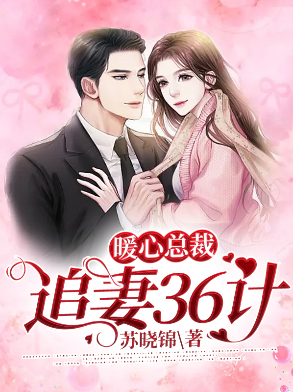 主角叶暖陆廷琛