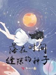 缝隙里的种子作文