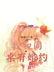 我和同桌的你小说