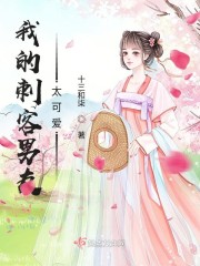 我的刺客男友太可爱了