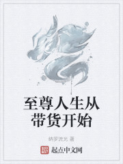 至尊人生顶点小说