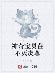 神奇宝贝之不息的追求