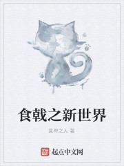 食戟世界的小说