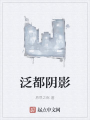 泛影是什么意思