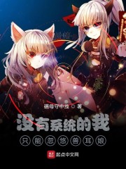 没有系统的电脑叫什么
