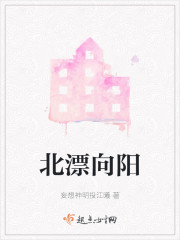 向北漂泊