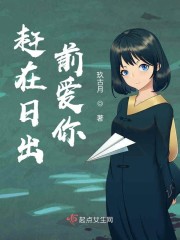赶在日落之前去见你