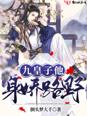 九皇子txt