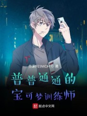 宝可梦训练师等级划分