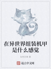 在异世界造机甲的小说