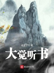 大觉剑经有声小说