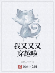 我又又又穿书了