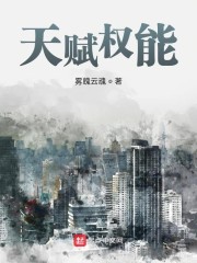 天赋权柄是啥意思