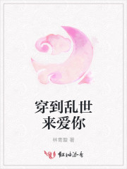 穿进乱世佳人