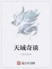 天域 攻略