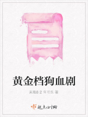 黄金档剧场视频