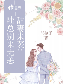 甜妻来袭陆总别来无恙