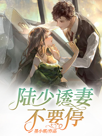 陆少谋妻不由你全文免费阅读