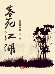 江湖客小说p大