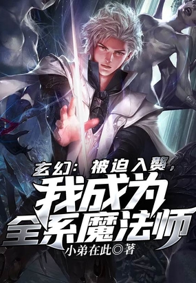 玄幻:被迫入赘,我成为全系魔法师 小弟在此