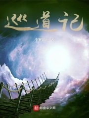 巡道记录仪发现的问题