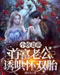 小娇妻乖！首富老公诱哄怀双胎