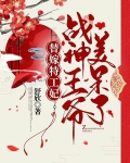 替嫁特工妃，战神王爷美呆了