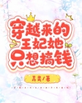 穿越来的王妃她只想搞钱