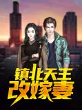 镇北王的代嫁男妃小说免费阅读全集